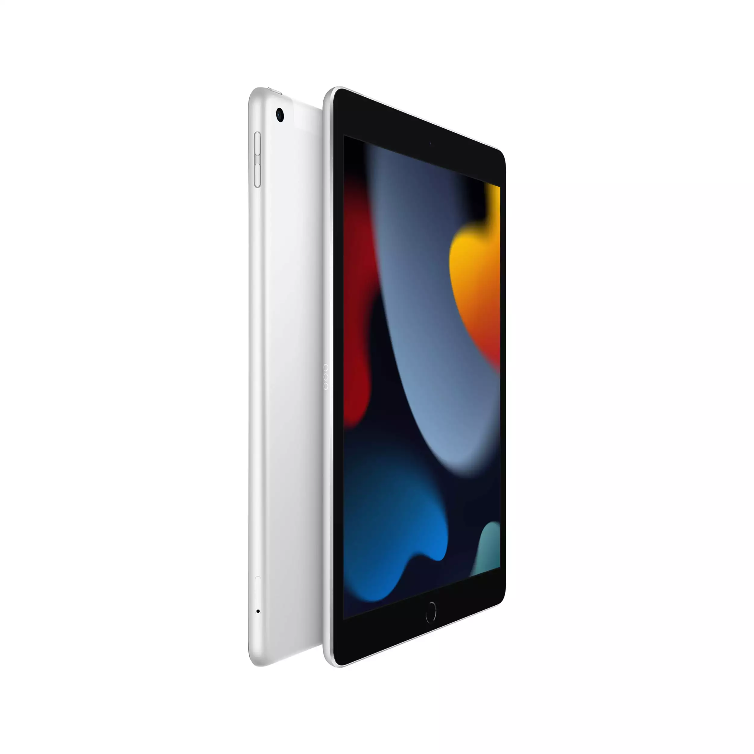 iPad 10.2 inç Wi-Fi + Cellular 256GB Gümüş MK4H3TU/A