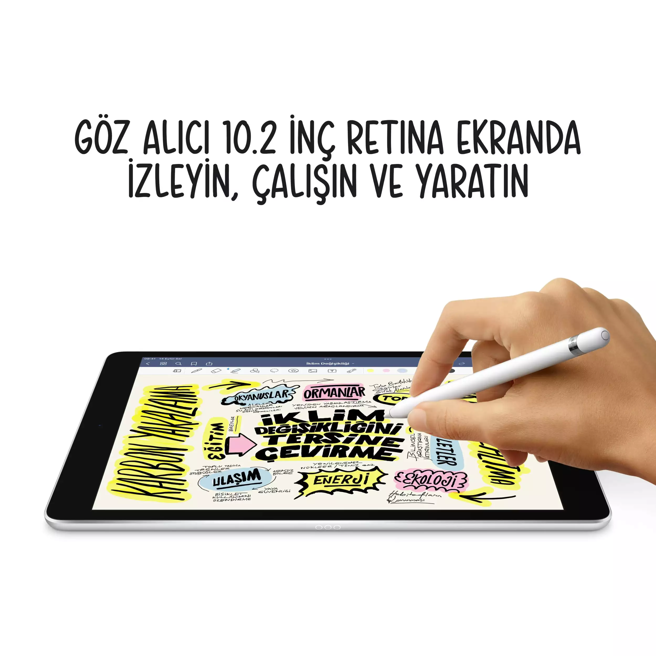 iPad 10.2 inç Wi-Fi + Cellular 64GB Gümüş MK493TU/A
