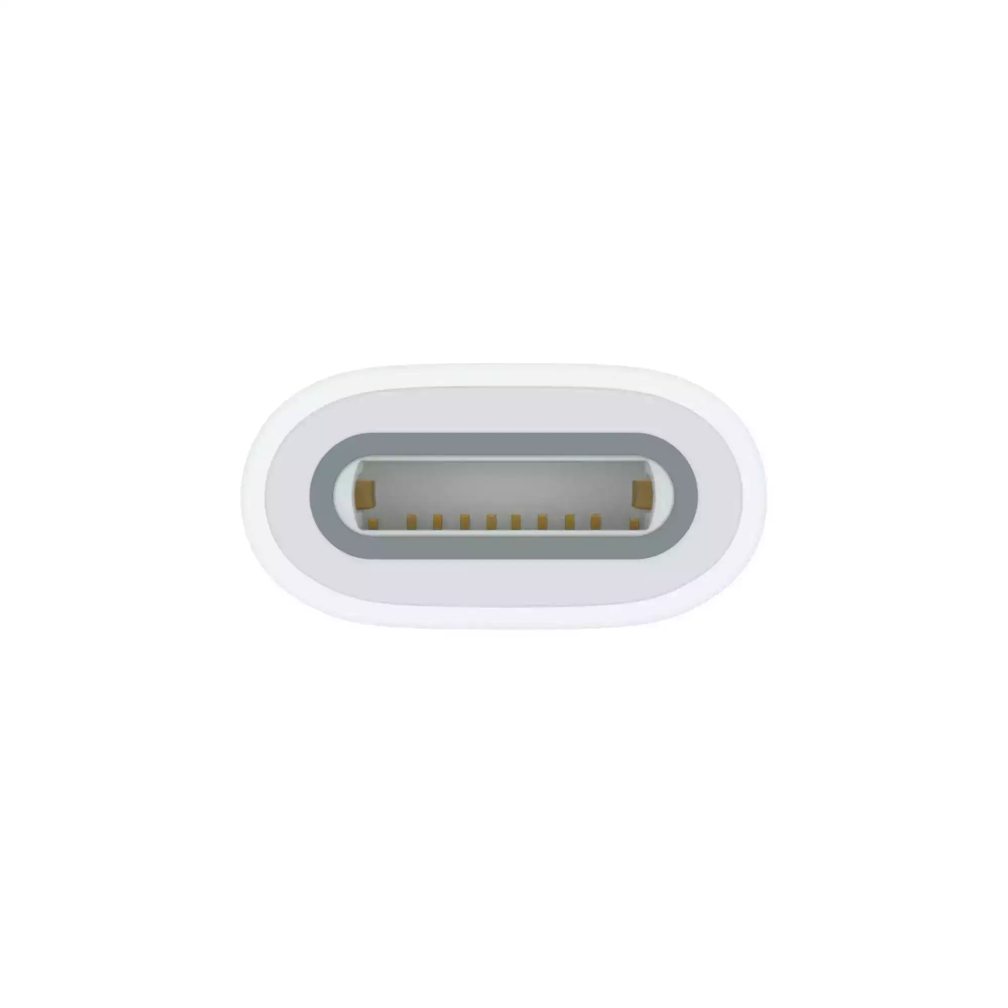 USB-C - Apple Pencil Adaptörü MQLU3ZM/A